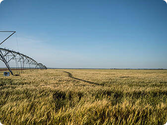 Aquacultural & Agricultural