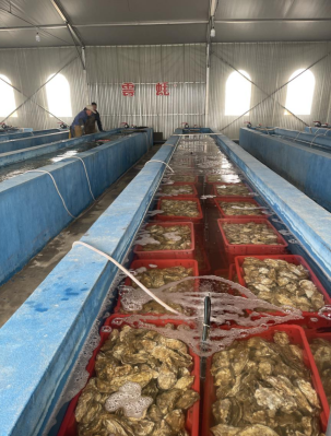Embracing Eco-Friendly Aquaculture with the Fish Farming Heat Pump and Chiller
