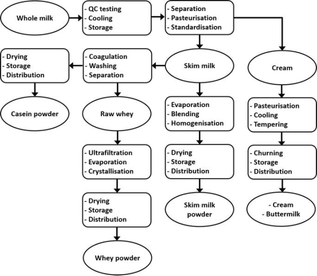 Dairy production process