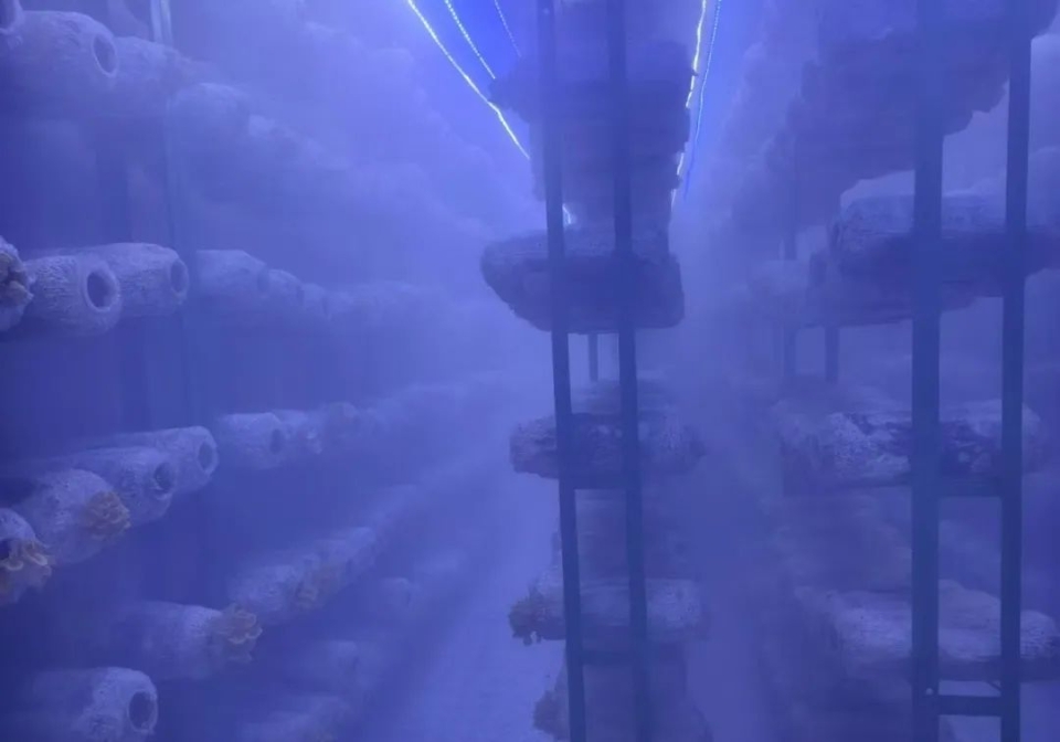 High Yield and Efficiency.jpg