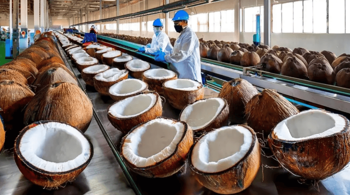 Chiller and High-Temperature Heat Pump System in Coconut Water Production.jpg