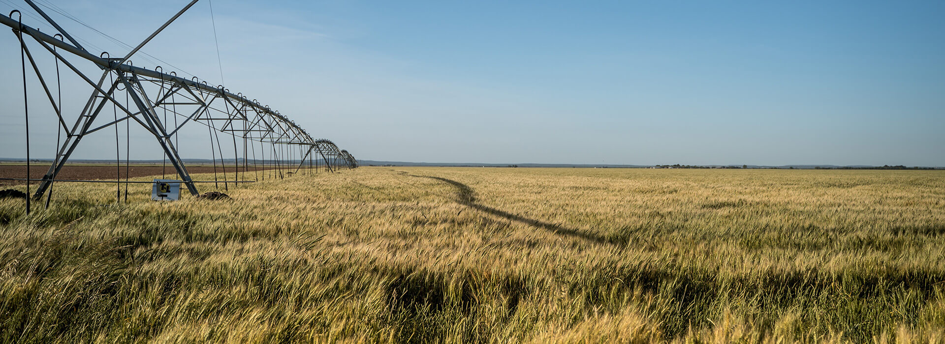 Aquacultural & Agricultural